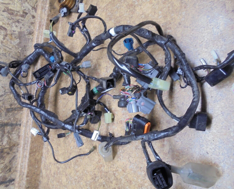 2014 Kawasaki Ninja EX300 EX 300 B Electrical Wire Harness Main Loom Wiring 2015