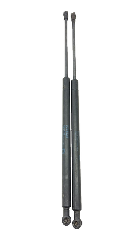 2007 LEXUS GS450H LEFT AND RIGHT SIDES HOOD STRUT PAIR