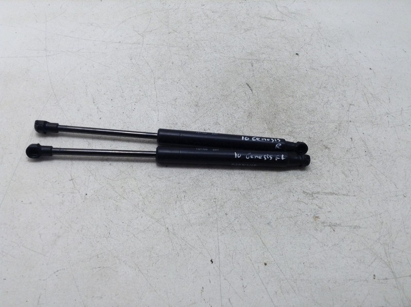 09-14 HYUNDAI GENESIS REAR TRUNK LID LIFT SUPPORT SHOCK STRUT ABSORBER SET OEM