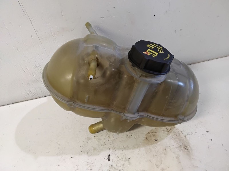 Coolant Reservoir Fits 15-23 MUSTANG 3563398