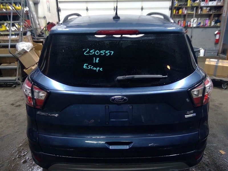 Trunk/Hatch/Tailgate Privacy Tint Glass Fits 17-19 ESCAPE 1724458