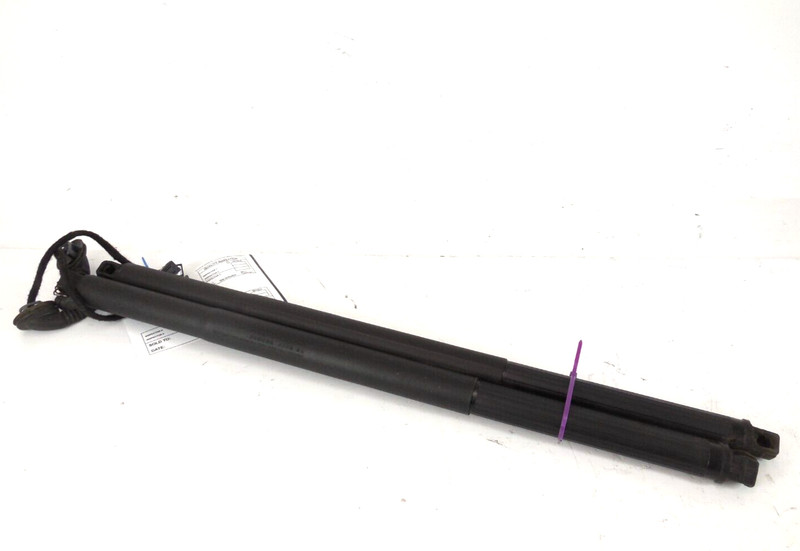 2015 15 Nissan Murano Power Liftgate Hatch Strut Pair Left Right OEM