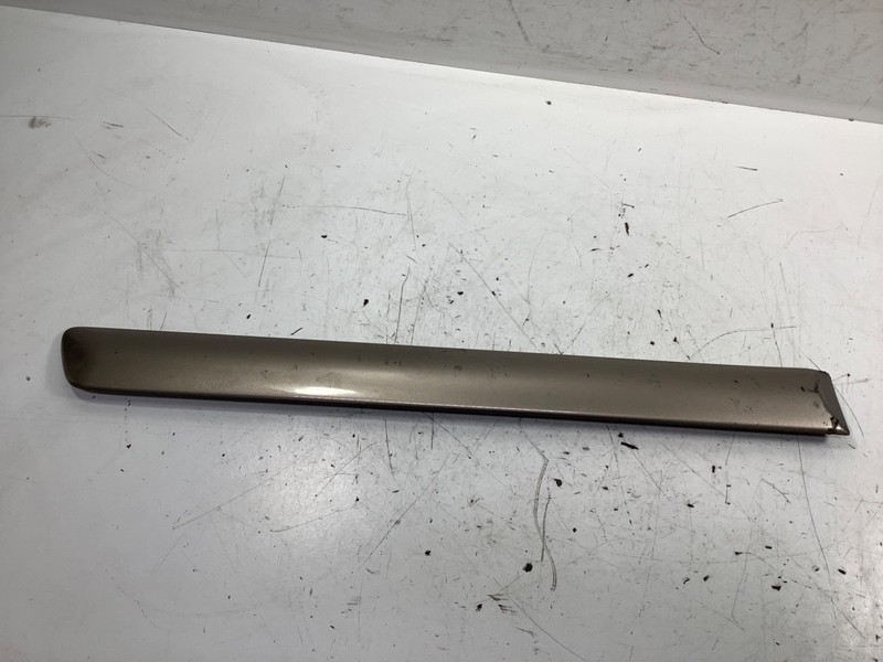 05-06 Honda CR-V Right Rear Door Protector Molding Gold OEM