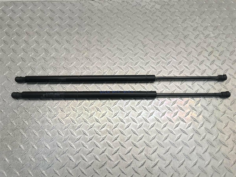 2007 CHRYSLER TOWN AND COUNTRY LIFTGATE STRUTS PAIR OEM 4589502AA