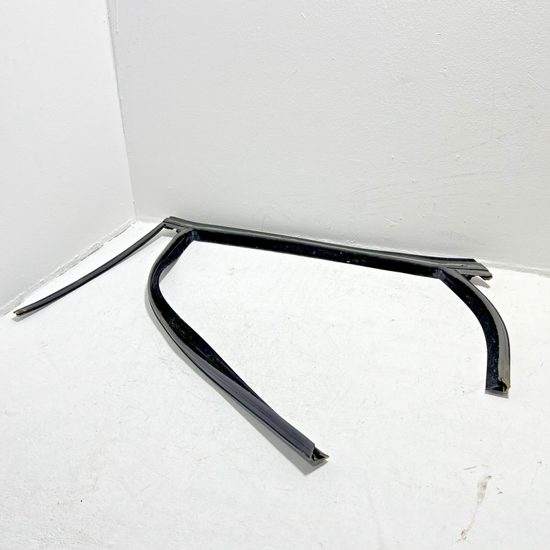 2014-2018 FORD FOCUS REAR LEFT DRIVER DOOR WINDOW RUN CHANNEL SEAL STRIP OEM