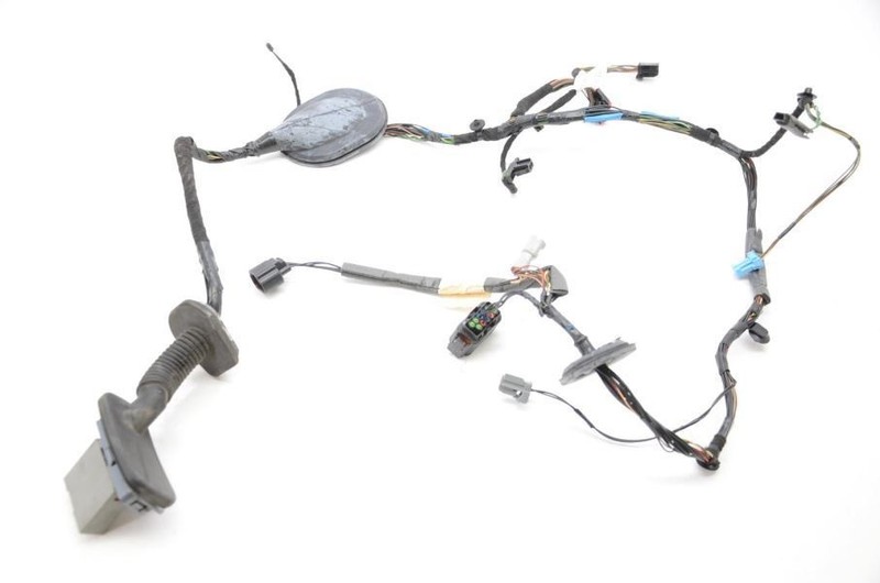 2010-2011 Range Rover Sport HSE Passenger Right Rear Door Wiring Harness