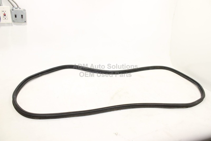 2016-2020 KIA SORENTO Tailgate Liftgate Back Door Weatherstrip Seal on Body OEM