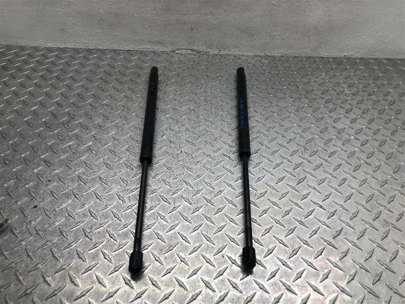 2003 CHEVROLET TRAILBLAZER LIFTGATE STRUTS PAIR OEM 172.GM8G03