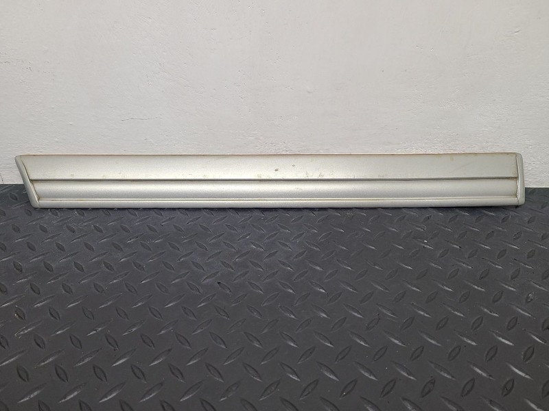 04-06 Dodge Durango Rar Right Passenger Door Molding Silver (PS2) OEM 5JN56WS2AE