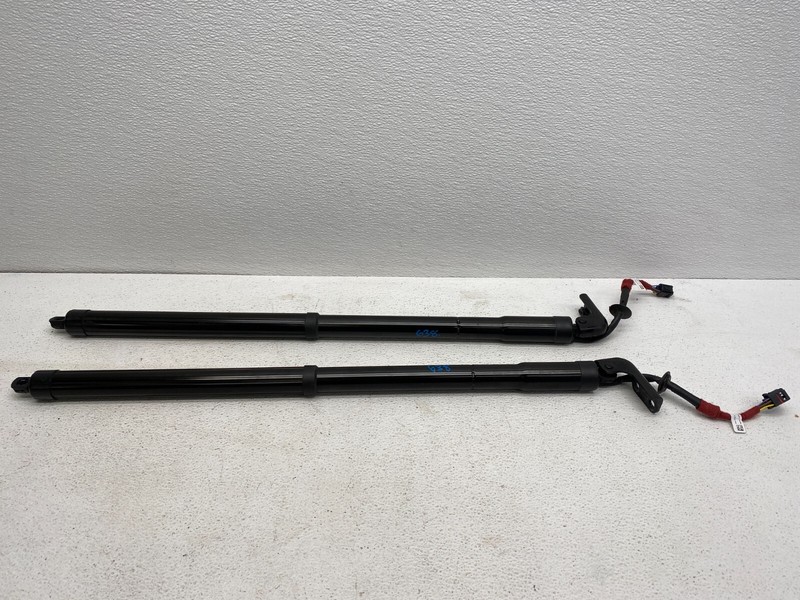 2016-2020 INFINITI QX60 REAR TRUNK SHOCK STRUT SET OEM LOT638