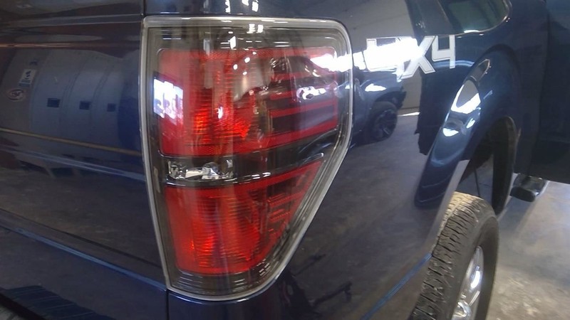 Passenger Tail Light Styleside Ebony Border Fits 10-14 FORD F150 PICKUP 3451902