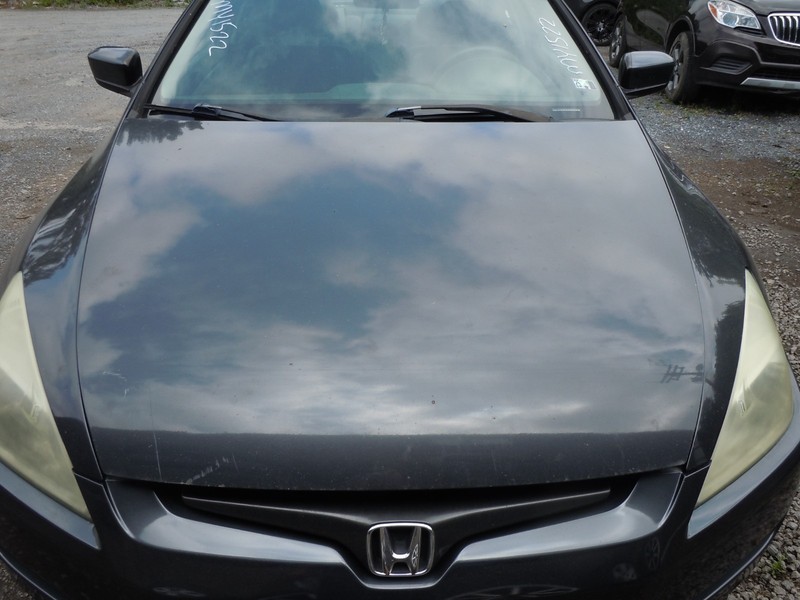 2003-2007 Honda Accord Coupe 2.4L Hood Bonnet Lid W/ Prop Rod OEM