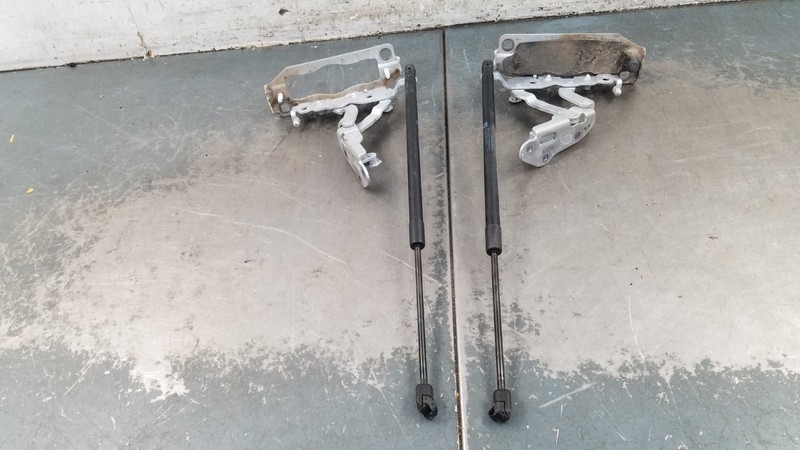 2011 Mercedes Benz AMG E 63 Hood Hinges / Struts #6599 P4