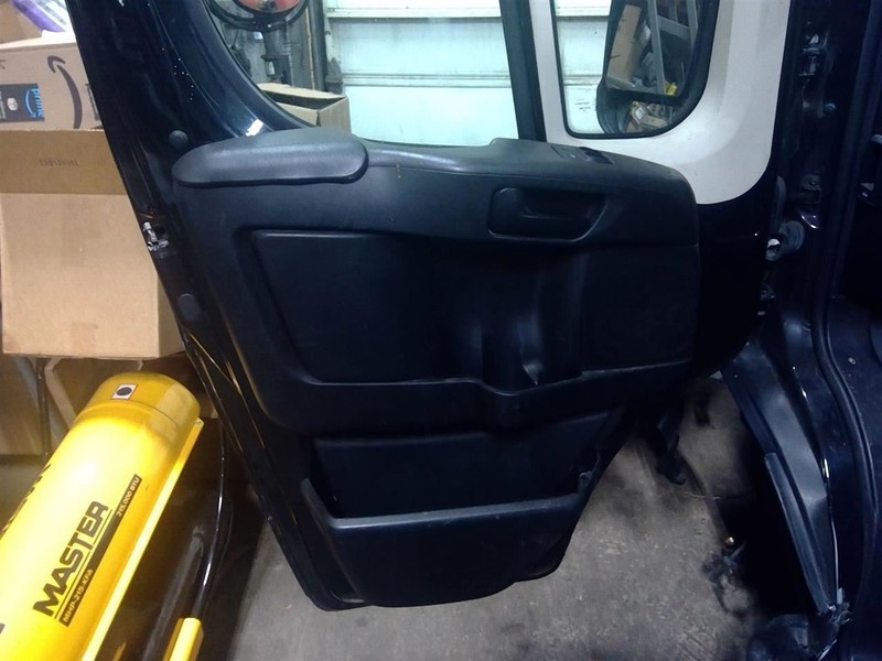 PROMASTER 1500 2020 Driver Left Front Door Trim Panel 1733181