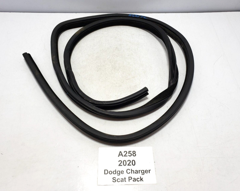 ✅ 11-23 OEM Dodge Charger SCAT Pack Front Left Door Weatherstrip Rubber Seal