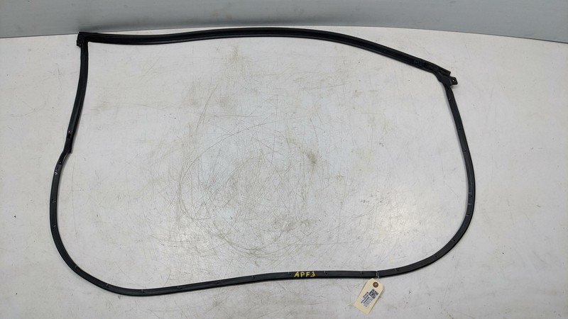 Front Right Door Weatherstrip 2019 Dodge Charger SXT 68040044AJ 2011-2021 2022