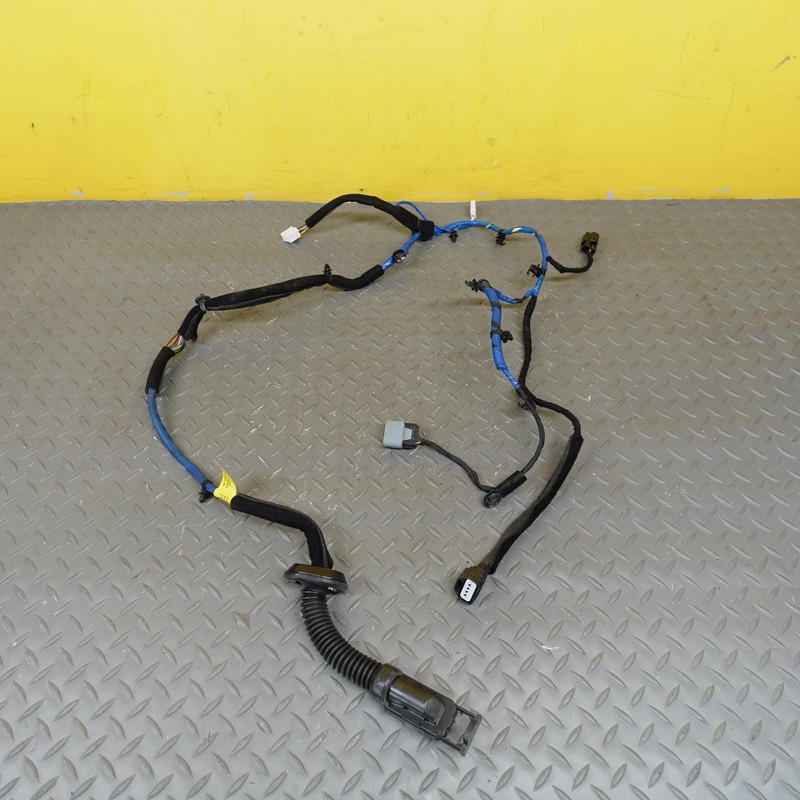 2022-2024 HYUNDAI IONIQ 5 REAR RIGHT DOOR WIRE WIRING HARNESS OEM 916G0GI080CA