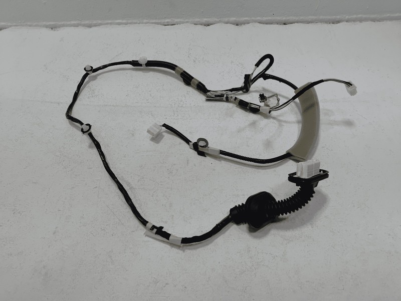 2019-2025 Toyota RAV4 XLE Rear Left Driver Door Wire Wiring Harness OEM
