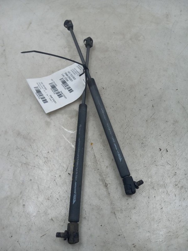 03 04 05 06 Toyota 4Runner Hood Strut Pair