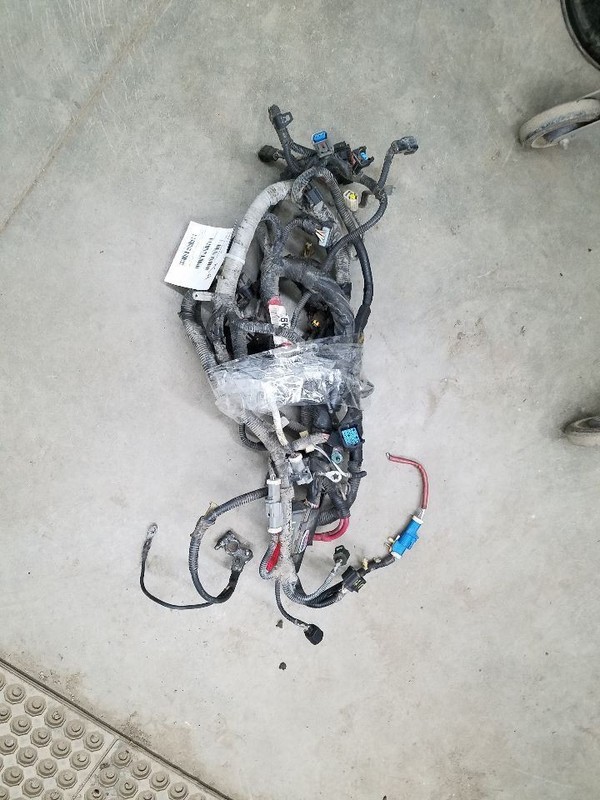 RANGER2001 Engine Wire Harness 308453