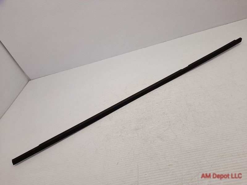 2000 BMW 323i 330xi 323xi 330i E46 Sedan Rear Left Door Weatherstrip Trim