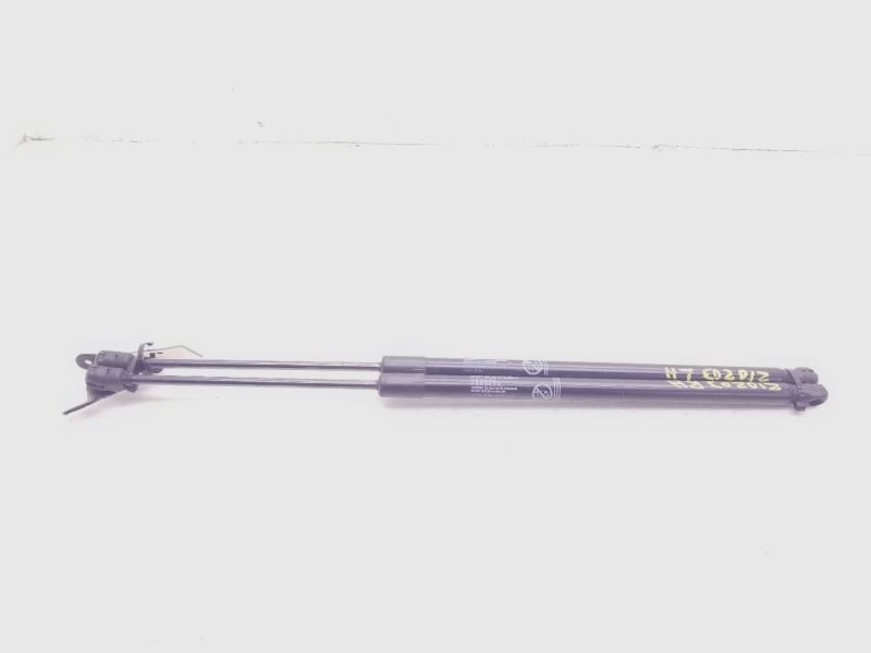 2010 LEXUS RX450H LEFT AND RIGHT SIDES HOOD STRUT PAIR