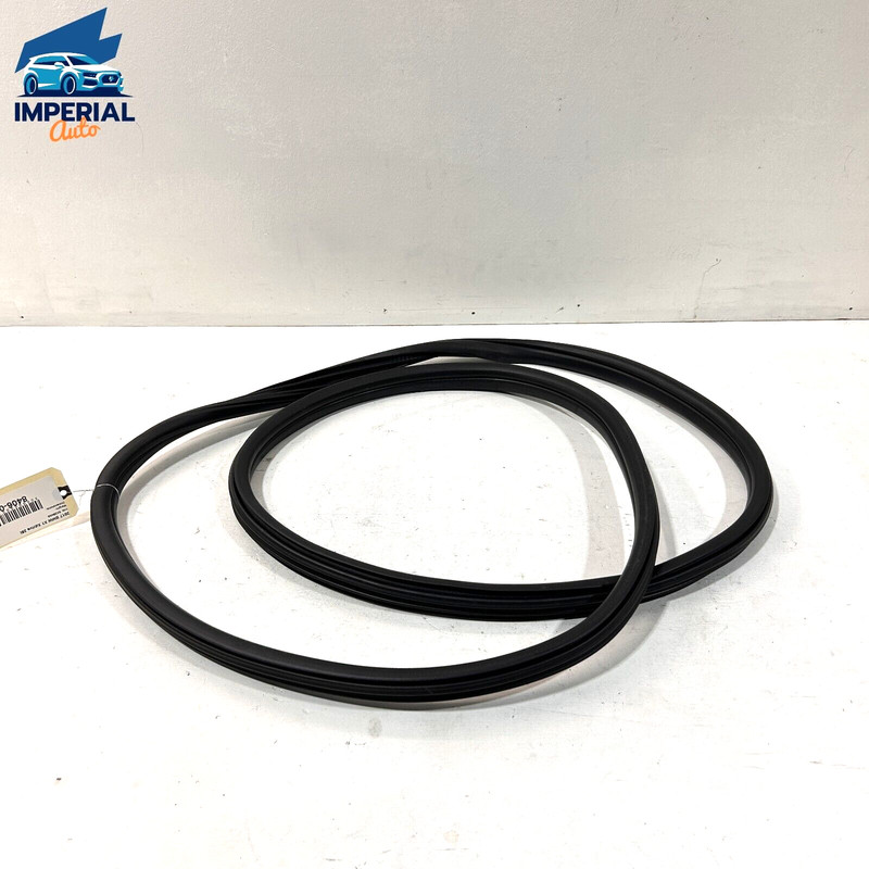 16-19 BMW X1 F48 REAR LEFT DRIVER SIDE DOOR ON BODY WEATHERSTRIP SEAL OEM