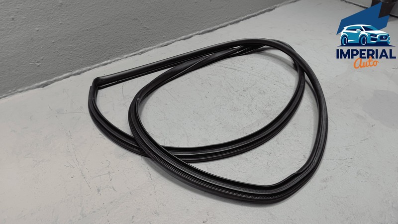 2019-2025 TOYOTA COROLLA FRONT PASSNGER SIDE DOOR ON BODY WEATHERSTRIP SEAL OEM