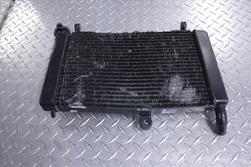 2001 YAMAHA YZF 600 R RADIATOR RAD COOLING W/ CAP LID OEM YZF600R 01