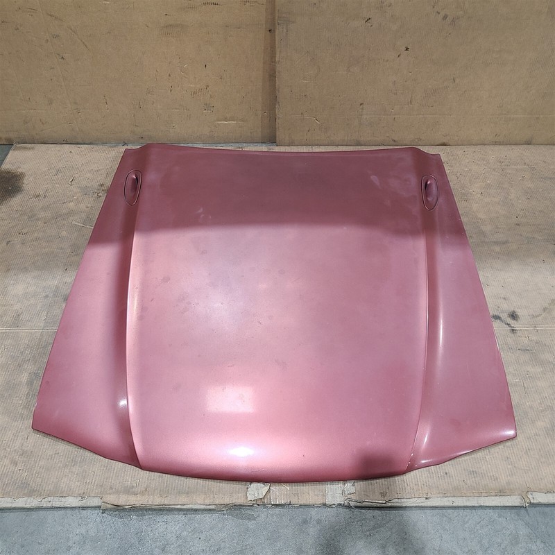 94-98 Mustang GT Hood Aa7375