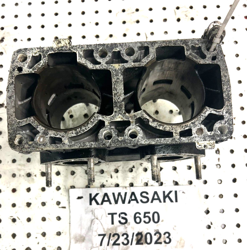 Kawsaki Jet Ski TS650 650sx Cylinder 11005-3707 FRESHWATER!