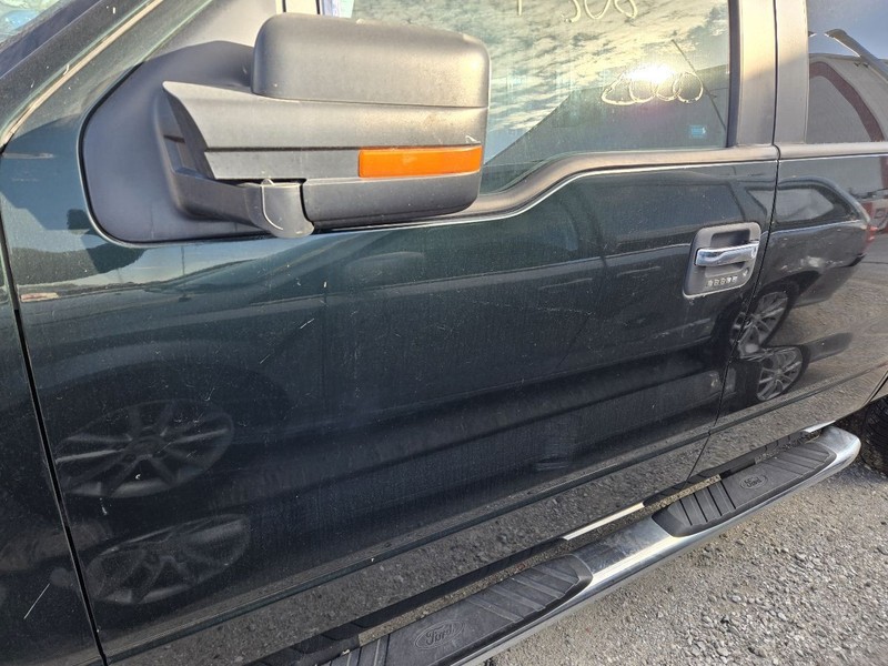 Driver Front Door Electric Fits 09-14 FORD F150 PICKUP 3597318