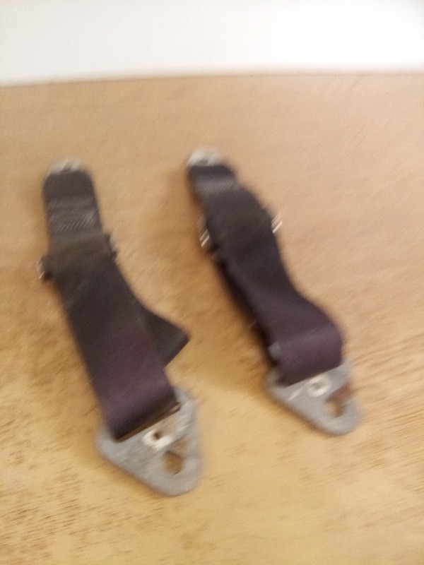 Lot Of 2 IMMA S84-?006 Seat Belt Strap
