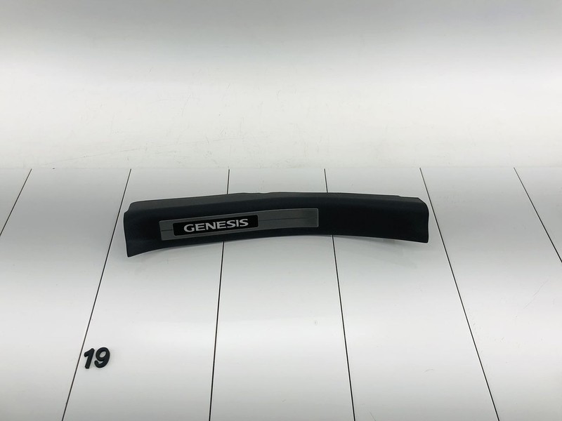 09-12 HYUNDAI GENESIS REAR LEFT DRIVER SIDE DOOR SILL SCUFF PLATE TRIM COVER OEM