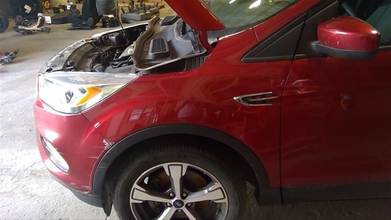 ESCAPE2017 Fender 3280769