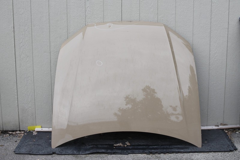 2019-2025 Audi Q8 Front Hood Bonnet Oem