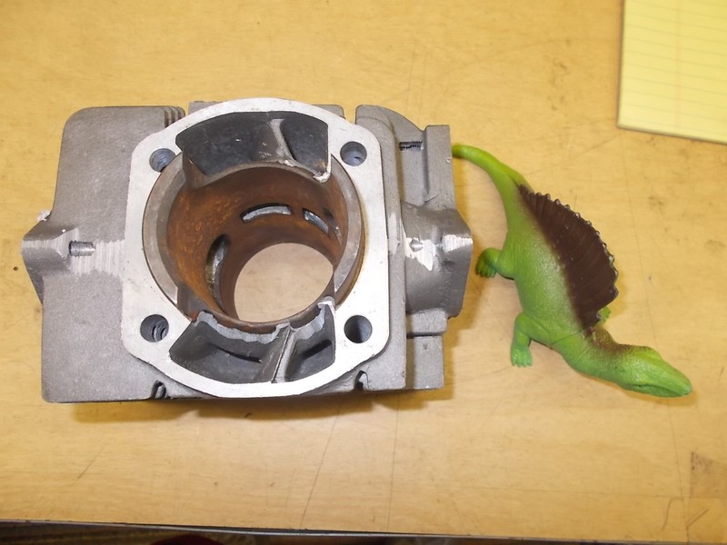 Cylinder 8H900 294CC *FREE SHIPPING*