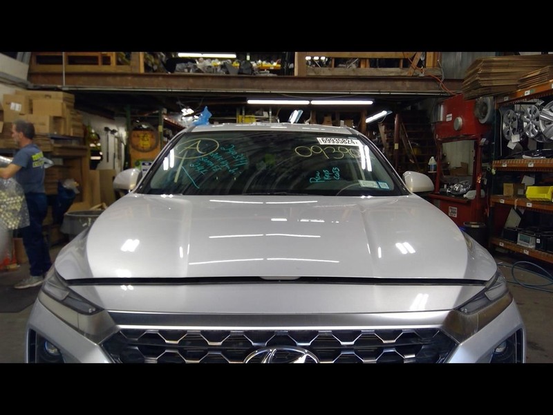 Hood Fits 19-20 SANTA FE 1464420