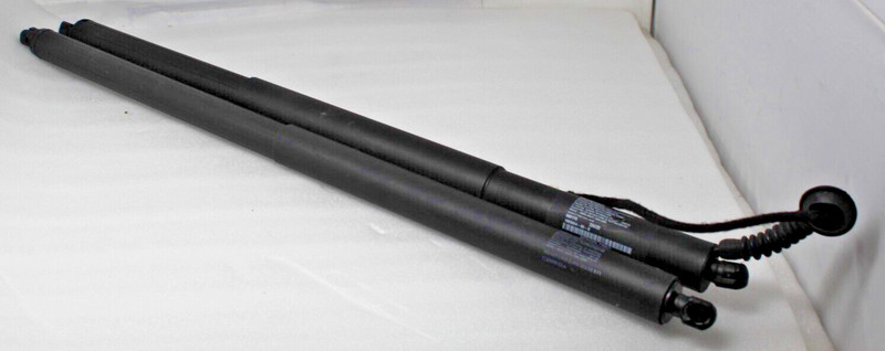 12-20 TESLA MODEL X REAR Liftgate Struts Shocks Left Right10656641129698 OEM