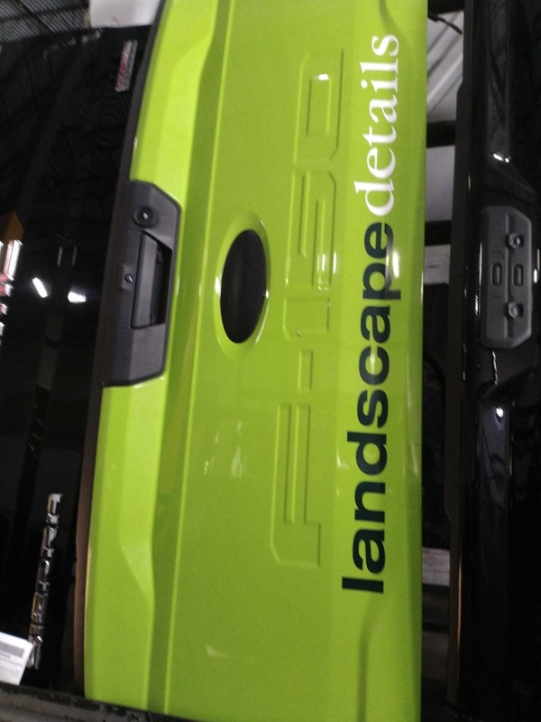 2021 Ford F150 Pickup Green Tailgate OEM ML3Z19G490C Good Condition