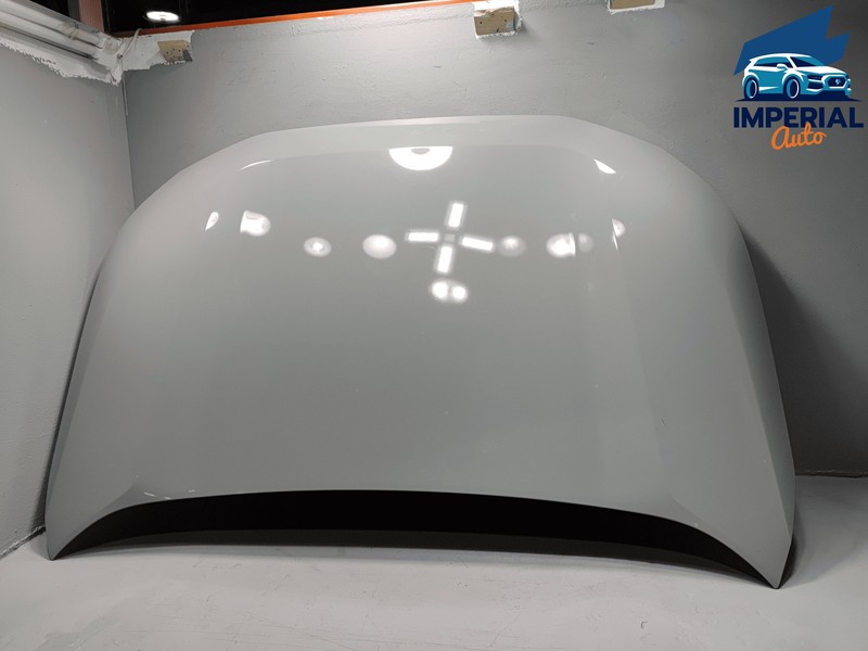 2019-2025 Toyota RAV4 Hood Bonnet Shell Cover Panel *6X3* OEM Khaki