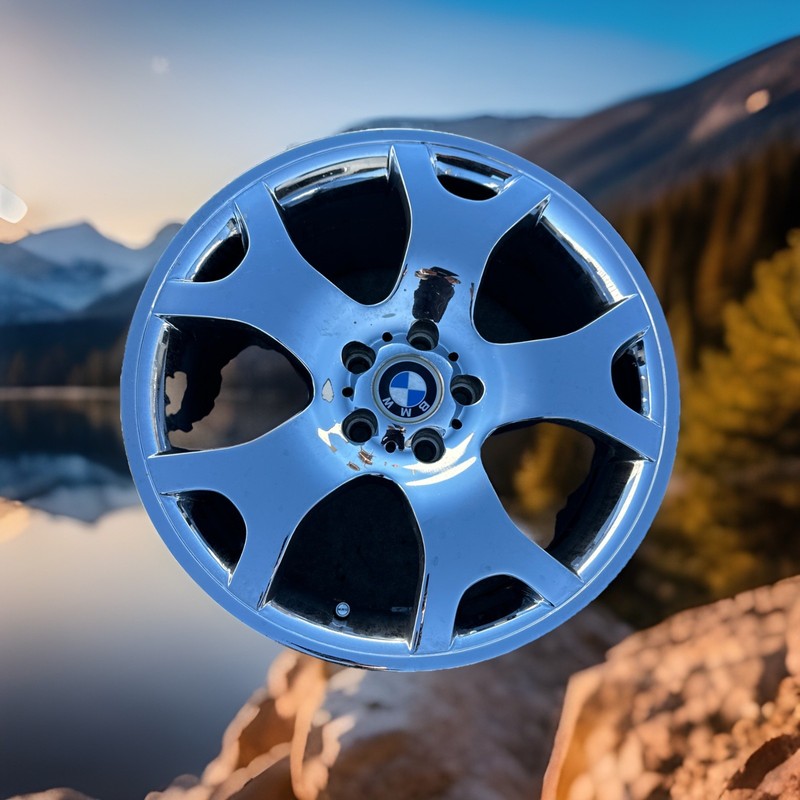 ✅ 2000-06 BMW X5 E53 Factory Rear Wheel Rim 19x10 Chrome 5 Y Spoke OEM ✅