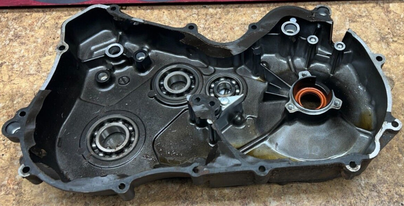 1985 Suzuki LTF 250 ATV Quad Runner Engine Motor Stator Casing Cover LT250