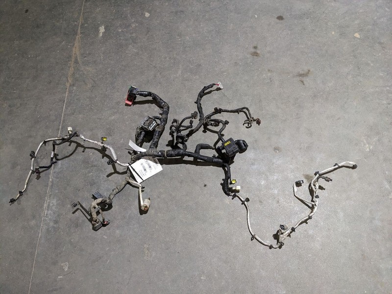 2019 PACIFICA 3.6L AT 2WD Engine Wire Harness 1181637