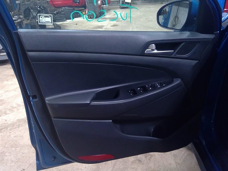 TUCSON 2019 Driver Left Front Door Trim Panel 1741204