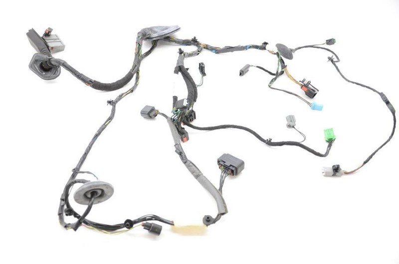 2010-2011 Range Rover Sport HSE Driver Left Front Door Wiring Harness
