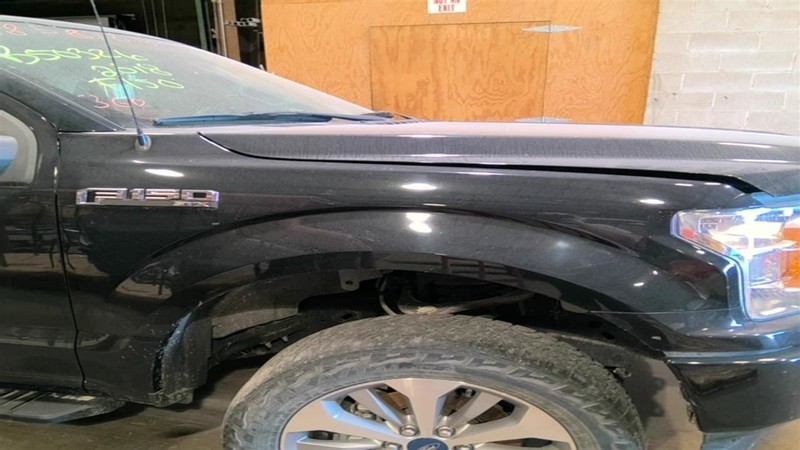 Passenger Fender Without Wheel Lip Moulding Fits 15-20 FORD F150 PICKUP 3554477