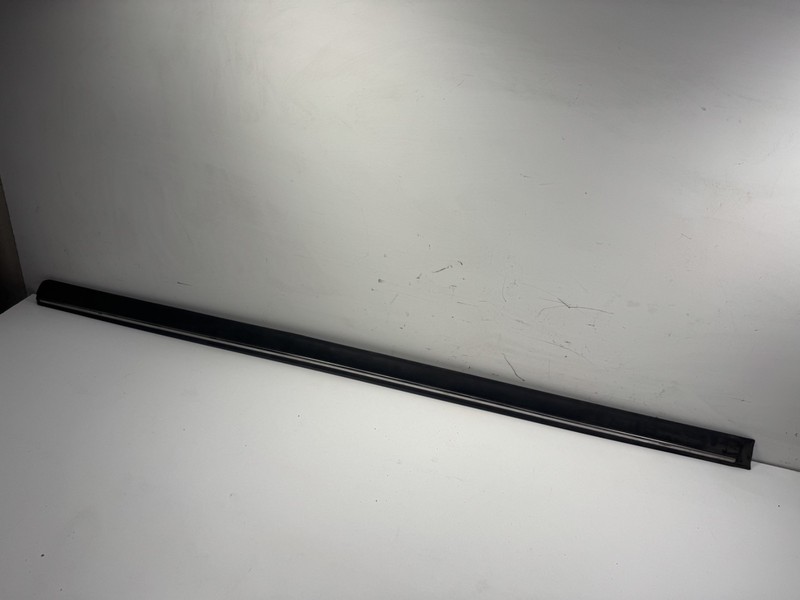 86-90 Acura Legend 2DR Left Door Protector Molding OEM