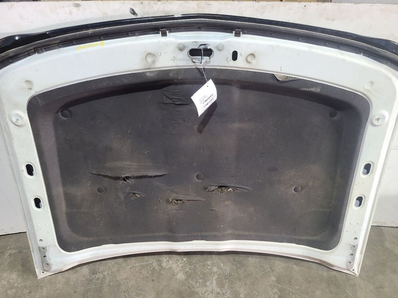 Hood Fits 14-15 SILVERADO 1500 PICKUP 579243