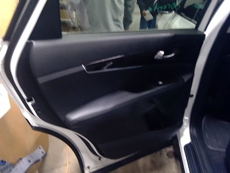 SORENTO 2017 Driver Left Rear Door Trim Panel Rear 1729963